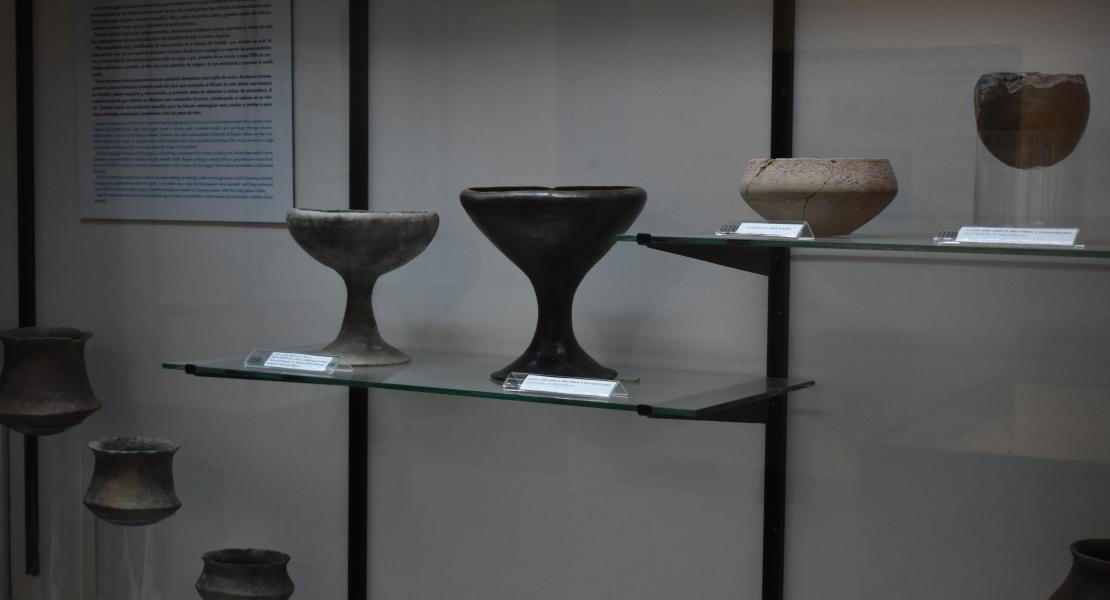 Museo Arqueológico de Baza 