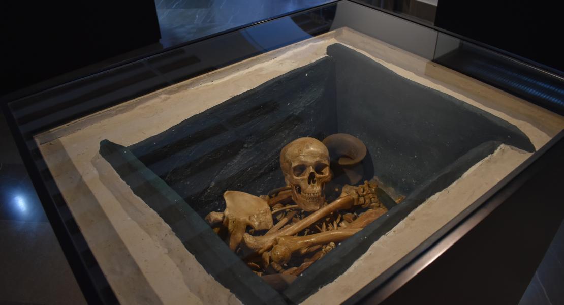 Museo Arqueológico de Baza 