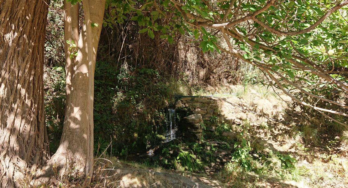 Pequeño salto de agua en un punto de la acequia de Barjas