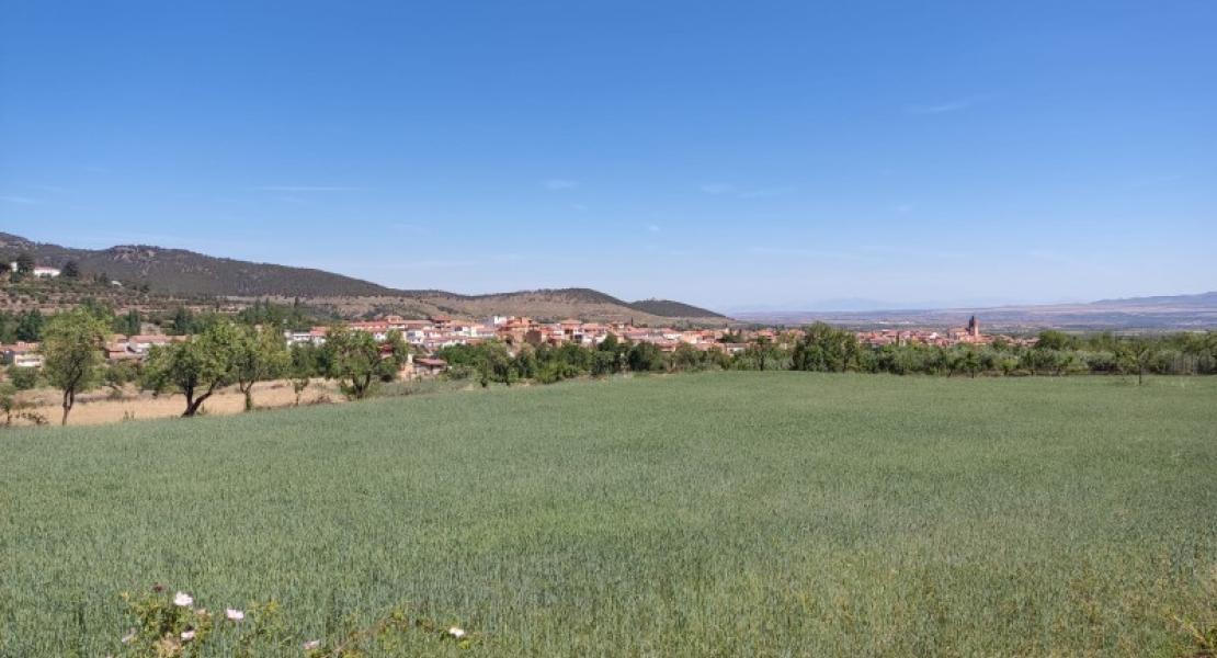 Vega de Jérez del Marquesado. Fotografía: Memolab-UGR